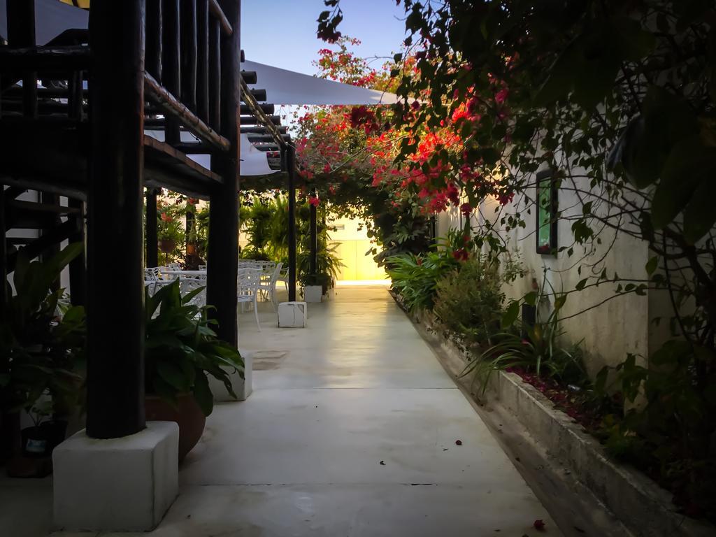 圣玛尔塔Casa Ines住宿加早餐旅馆 外观 照片